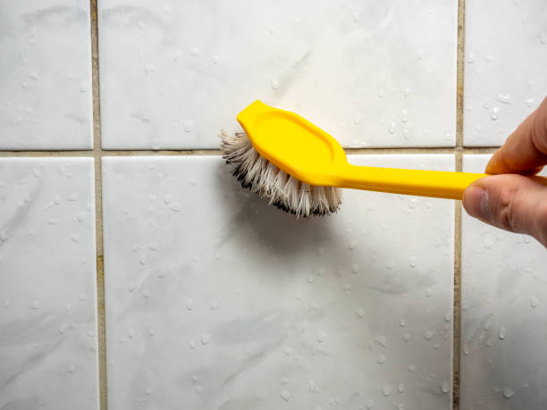 Best Mold Damage Repair  in Silverton, OH