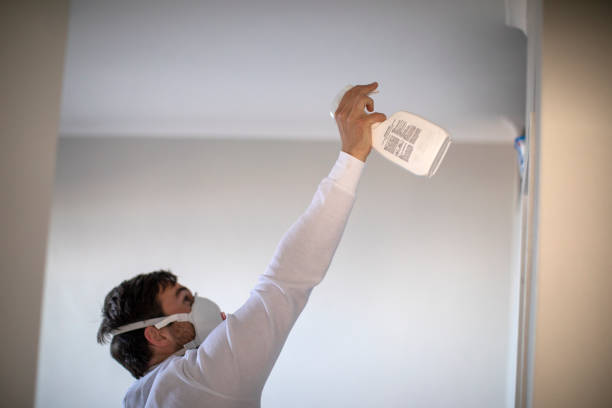 Best Professional Mold Removal  in Silverton, OH