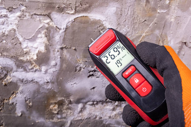 Best Mold Testing  in Silverton, OH