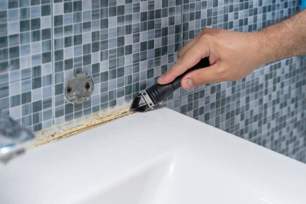 Best Certified Mold Removal  in Silverton, OH