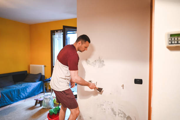 Best Toxic Mold Removal  in Silverton, OH